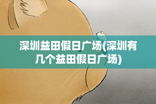 深圳益田假日广场(深圳有几个益田假日广场)