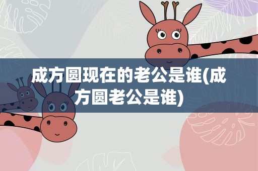 成方圆现在的老公是谁(成方圆老公是谁)