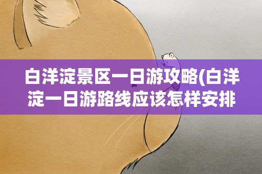 白洋淀景区一日游攻略(白洋淀一日游路线应该怎样安排)