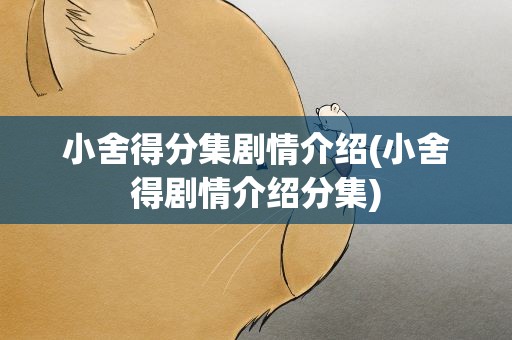 小舍得分集剧情介绍(小舍得剧情介绍分集)