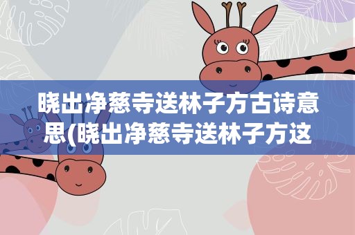 晓出净慈寺送林子方古诗意思(晓出净慈寺送林子方这首诗的意思)
