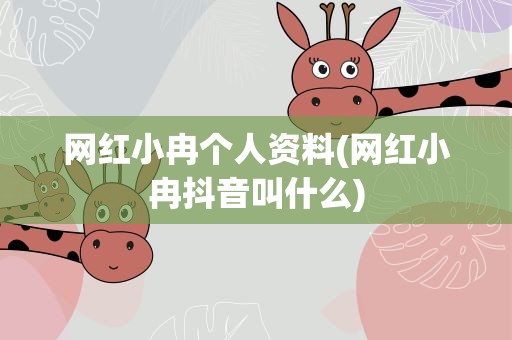 网红小冉个人资料(网红小冉抖音叫什么)