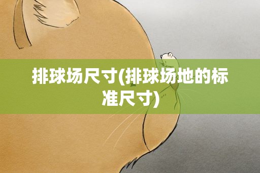 排球场尺寸(排球场地的标准尺寸)
