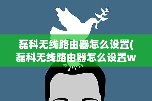 磊科无线路由器怎么设置(磊科无线路由器怎么设置wifi)