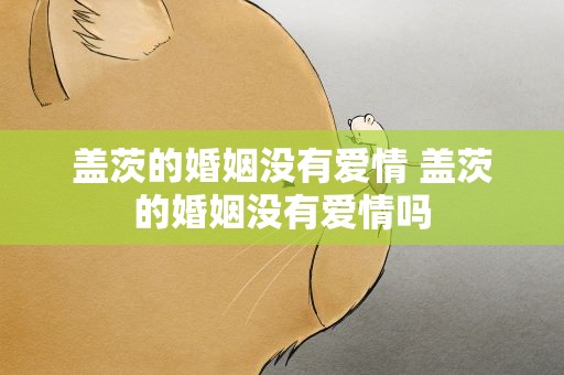盖茨的婚姻没有爱情 盖茨的婚姻没有爱情吗