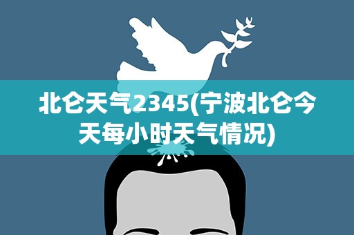 北仑天气2345(宁波北仑今天每小时天气情况)