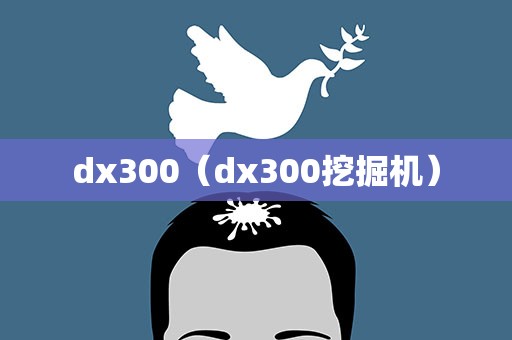 dx300（dx300挖掘机）