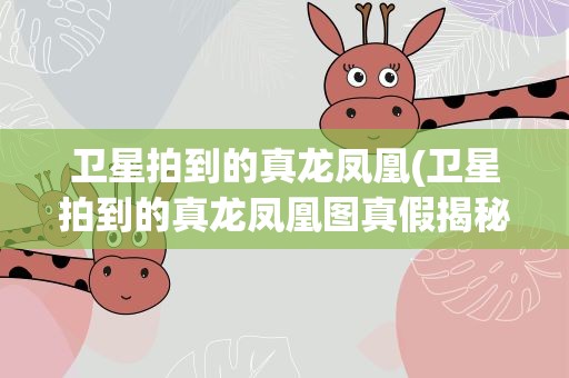 卫星拍到的真龙凤凰(卫星拍到的真龙凤凰图真假揭秘)