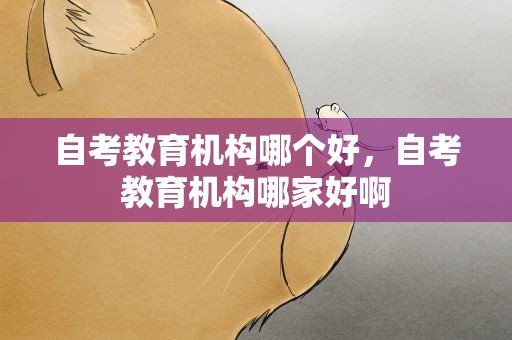 自考教育机构哪个好，自考教育机构哪家好啊