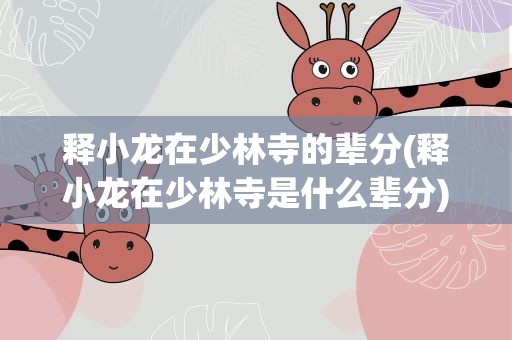 释小龙在少林寺的辈分(释小龙在少林寺是什么辈分)