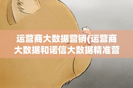 运营商大数据营销(运营商大数据和诺信大数据精准营销有什么区别)