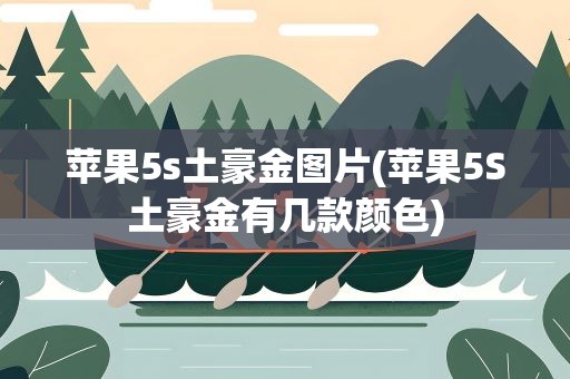 苹果5s土豪金图片(苹果5S土豪金有几款颜色)