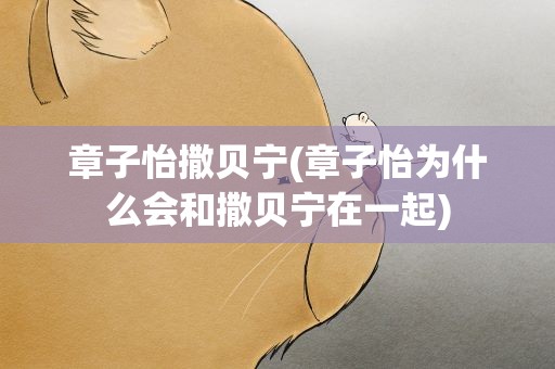 章子怡撒贝宁(章子怡为什么会和撒贝宁在一起)