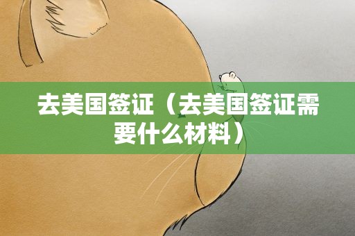 去美国签证（去美国签证需要什么材料）