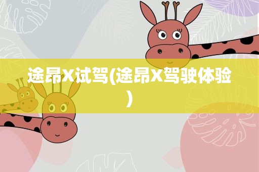 途昂X试驾(途昂X驾驶体验)