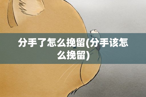 分手了怎么挽留(分手该怎么挽留)