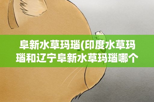 阜新水草玛瑙(印度水草玛瑙和辽宁阜新水草玛瑙哪个好)