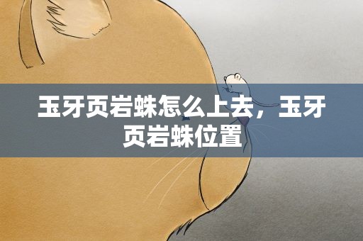 玉牙页岩蛛怎么上去，玉牙页岩蛛位置
