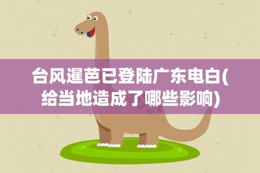 台风暹芭已登陆广东电白(给当地造成了哪些影响)