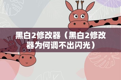 黑白2修改器（黑白2修改器为何调不出闪光）