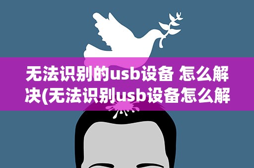 无法识别的usb设备 怎么解决(无法识别usb设备怎么解决)