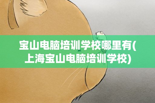 宝山电脑培训学校哪里有(上海宝山电脑培训学校)