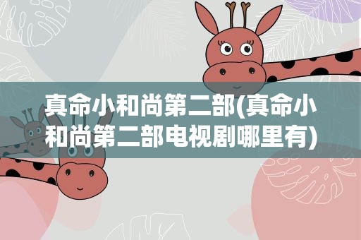 真命小和尚第二部(真命小和尚第二部电视剧哪里有)