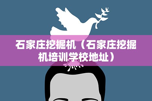 石家庄挖掘机（石家庄挖掘机培训学校地址）