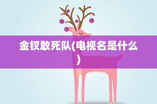 金钗敢死队(电视名是什么)