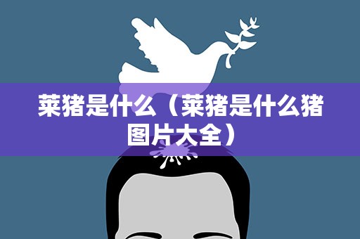 莱猪是什么（莱猪是什么猪图片大全）