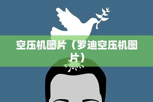 空压机图片（罗迪空压机图片）
