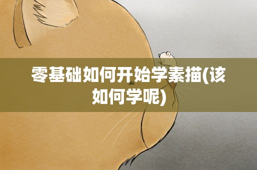 零基础如何开始学素描(该如何学呢)