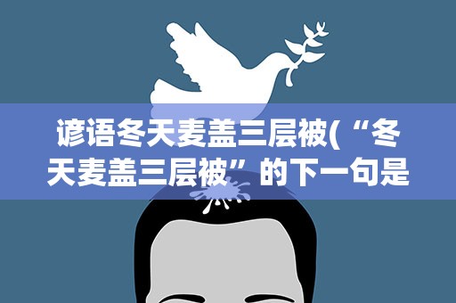 谚语冬天麦盖三层被(“冬天麦盖三层被”的下一句是什么)