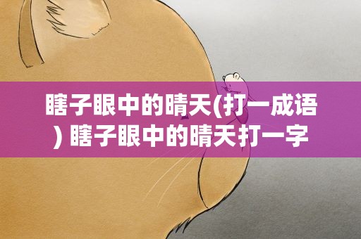 瞎子眼中的晴天(打一成语) 瞎子眼中的晴天打一字