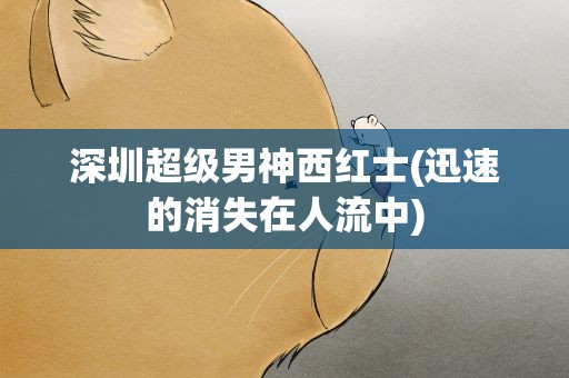 深圳超级男神西红士(迅速的消失在人流中)