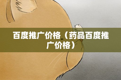 百度推广价格（药品百度推广价格）