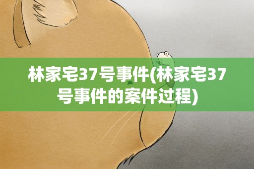 林家宅37号事件(林家宅37号事件的案件过程)