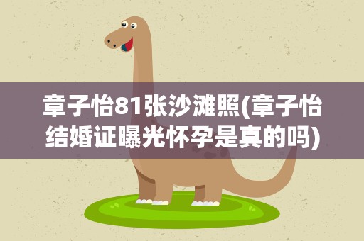 章子怡81张沙滩照(章子怡结婚证曝光怀孕是真的吗)