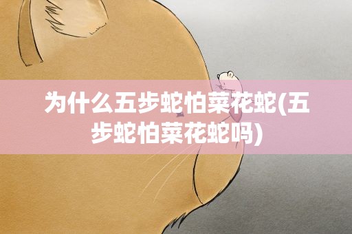 为什么五步蛇怕菜花蛇(五步蛇怕菜花蛇吗)