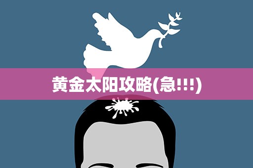 黄金太阳攻略(急!!!)