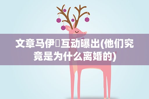 文章马伊琍互动曝出(他们究竟是为什么离婚的)
