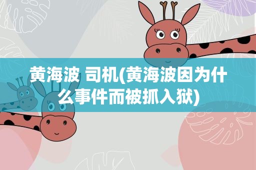 黄海波 司机(黄海波因为什么事件而被抓入狱)