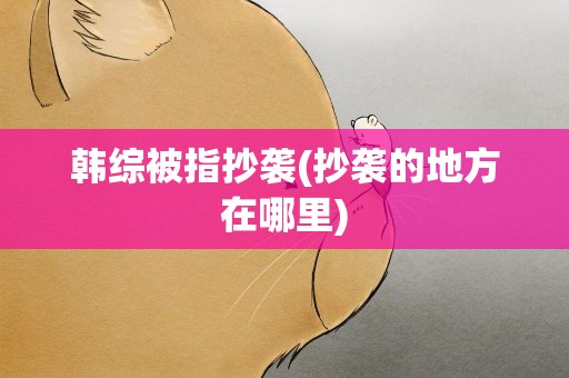 韩综被指抄袭(抄袭的地方在哪里)