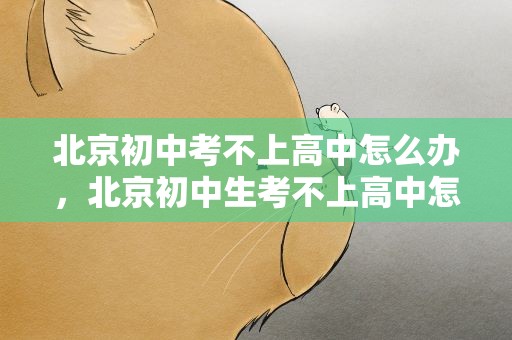 北京初中考不上高中怎么办，北京初中生考不上高中怎么办