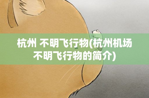 杭州 不明飞行物(杭州机场不明飞行物的简介)