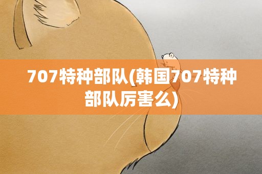 707特种部队(韩国707特种部队厉害么)