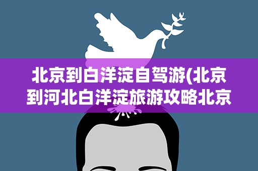 北京到白洋淀自驾游(北京到河北白洋淀旅游攻略北京到白洋淀一日游)