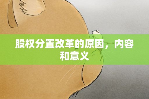 股权分置改革的原因，内容和意义