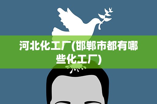河北化工厂(邯郸市都有哪些化工厂)
