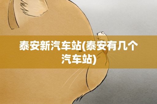 泰安新汽车站(泰安有几个汽车站)